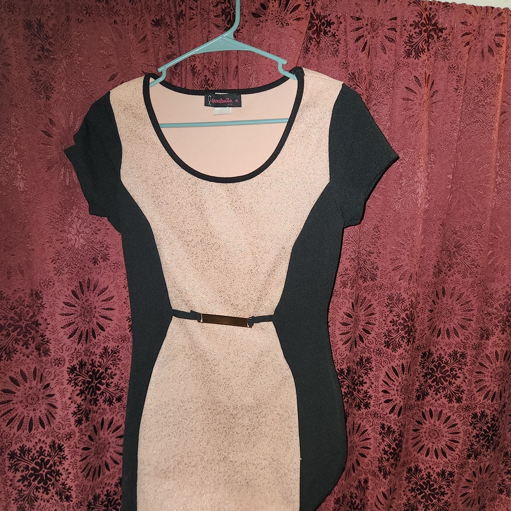 Annabelle Black and Beige Mini Dress
